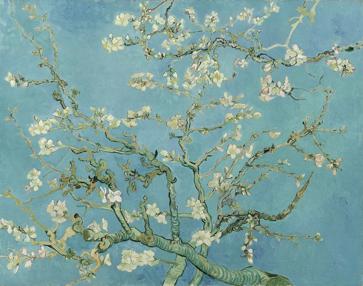 Almond Blossom by Van Gogh (decorative)